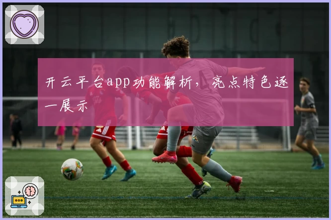 开云平台app功能解析，亮点特色逐一展示