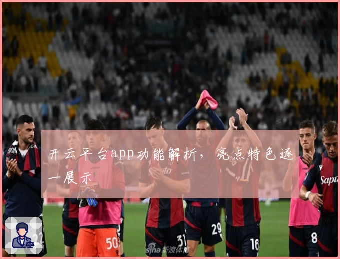 开云平台app功能解析，亮点特色逐一展示